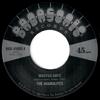 7-дюймовая пластинка AGGROLITES SLACKERS The Aggrolites Vs The Slackers BAD45005 Badasonic Recor 2020 Нидерланды Регги Ска Даб Б/у