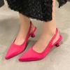 Fashion Summer Slingle Shoes for Women 2024 Pionted Toe Stiletto Women's Slingbacks Shoes Sexy Party Dress Office Ladies Heeled Shoes