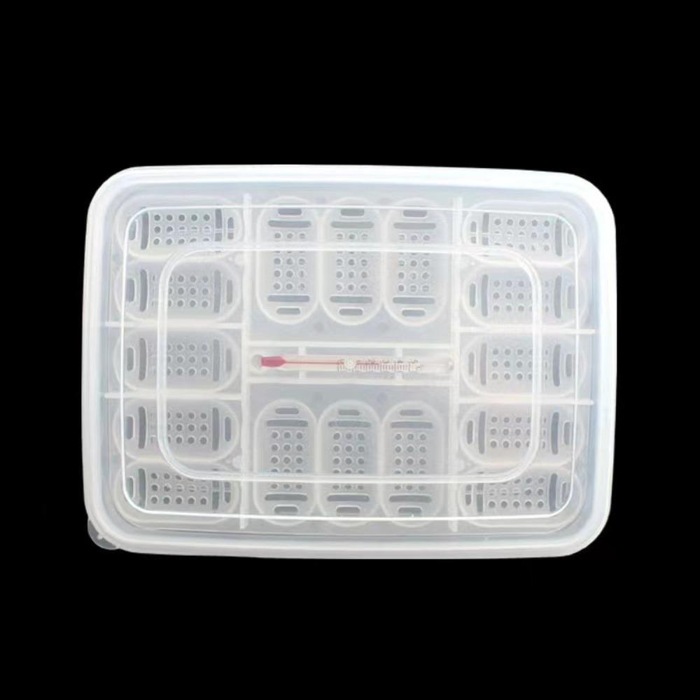 16 ячеек для яиц, включая термометр. 16 * 13 см, инкубационное яйцо змеиной ящерицы, коробка для доставки, инкубационная коробка для рептилий, коробка для инкубационных яиц