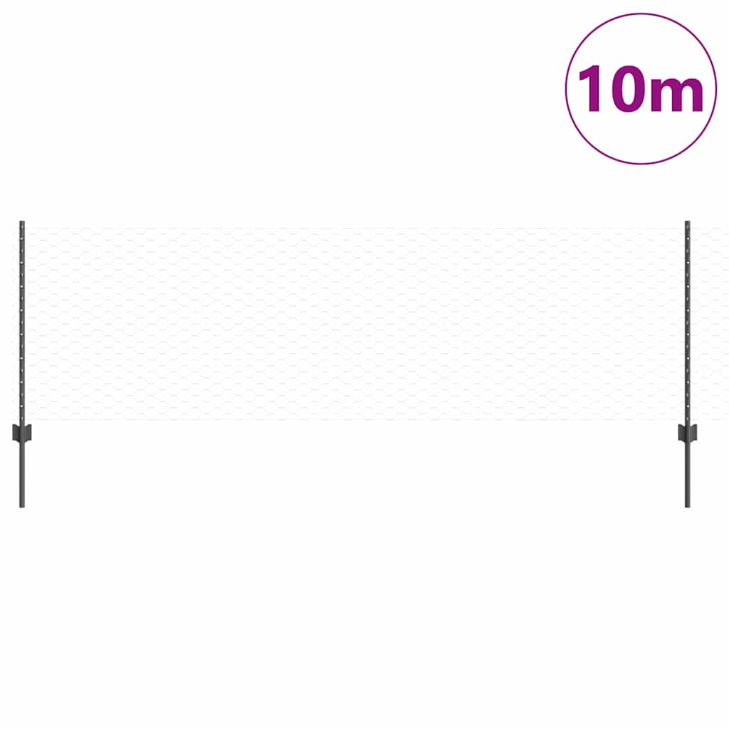Welded Wire Fence 10 x 0.8 m (W x H)