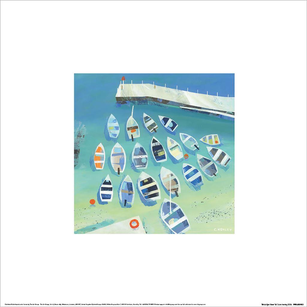 Claire Henley Birds Eye View Print