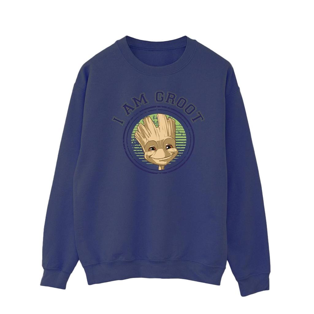 Guardians Of The Galaxy Mens Groot Varsity Sweatshirt