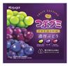 Kasugai Seika Tsubu Gummy PREMIUM Rich Grape 75g X 10 Bags