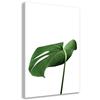 Canvas Print, Monstera Leaf Plant