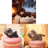Plush Family Cat Face Toy With Short Faux Fur For Office Desk Decor