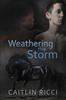 Книга Weathering the Storm Volume 1