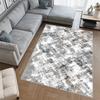 Washable Printed Carpet RVGHOME0540