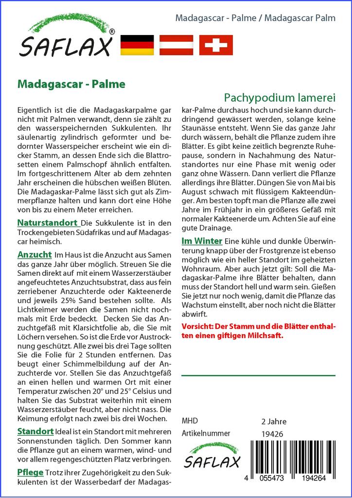 SAFLAX Garden in the Bag - Мадагаскарская пальма - 10 семян - С субстратом в подходящем пакете - Pachypodium lamerei