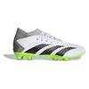 Adidas Predator Accuracy.3 FG Crazyrush Pack мужские кроссовки белые облачно-белые Core-черные GZ0024