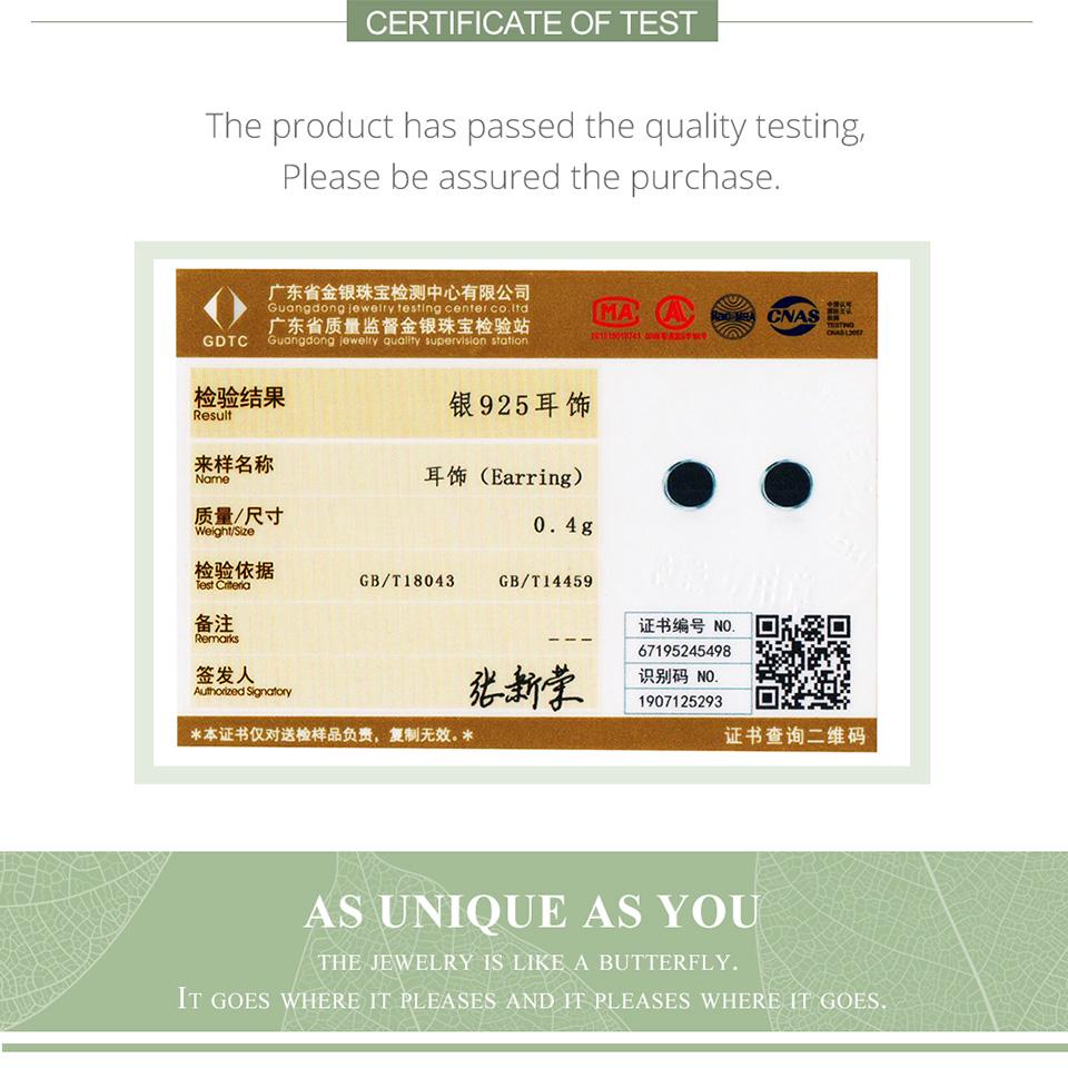 BAMOER Authentic 925 Sterling Silver Slice Unique Stud Earrings For Women