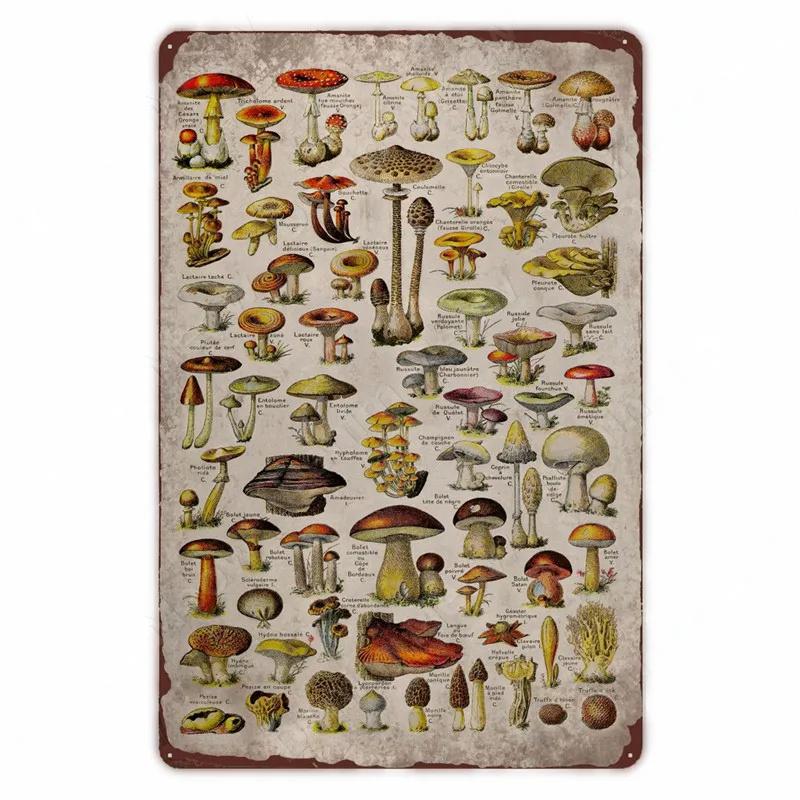 Ретро плакат с овощами и растениями, винтажный металлический жестяной знак с фруктами, настенная вывеска с цветной капустой, садовая кухонная ферма, цветы, тарелка, декор