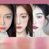 Milk Tea Blush Peach Palette Face Mineral Pigment Ball Blusher Powder Makeup Contour Shadow with Brush 3i, 02 с кистью