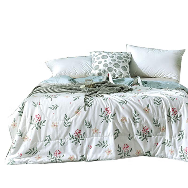 Shanshan Home Textiles Washable Antibacterial Air Conditioning Quilt