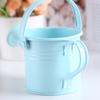 Garden Mini Kawaii Metal Water Spraying Pot Flower Kettle Watering Can