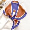 Silk Scarf for Women In Spring and Autumn New Style Clothing Decoration Scarf Headband Tie Laces with Autumn and Winter Warmth
