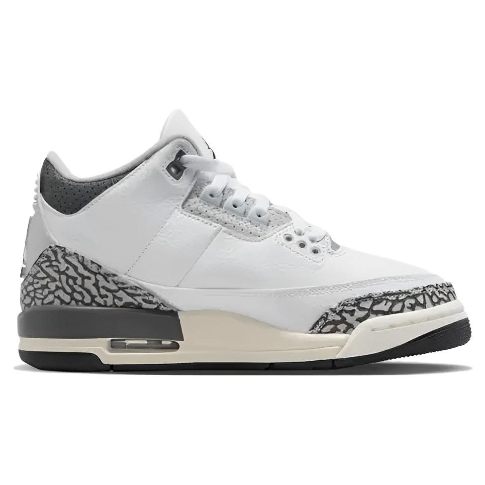 Детские кроссовки Air Jordan 3 Retro GS Hide N Sneak White Black Iron DX6665-100