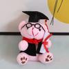 New Creative Doctoral Dress Doctor Bear Plush Toy Doll Pendant Bag Hanging Ornament Doll Doll Doll