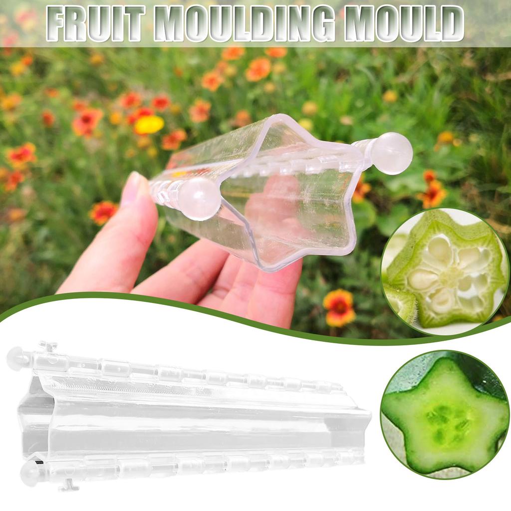 Pentagram Heart-shaped Cucumber Fruit Shaping Growth Molds