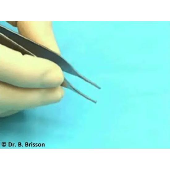 GDC Tissue Forceps Adson Toothed 1x2 (12cm) (Tp42)