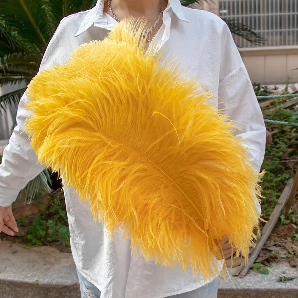 15-60Cm Natural Ostrich Feathers | High-Quality For Diy, Wedding, Party, Stage, Costume & Home Decor | Various Colors Available