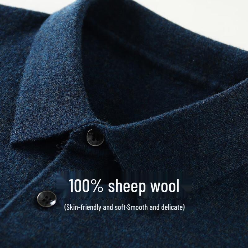 Мужской свитер-поло из мериносовой шерсти Antonio