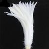 Top Quality 50 Pcs Pure White Rooster Tail Feather 30-35Cm 12-14Inch Natural Feathers Wedding Decoration Clothing Accessories