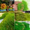 Garden Home DIY Accessories Artificial Grass Powder Micro Landscape Decoration Artificial Moss