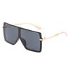 Large Square Sunglasses, Trendy Integrated Face-Covering Glasses, Personalized One-Piece Street Sunglasses For Women