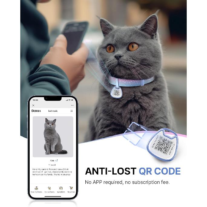 Ошейник для кошки с QR-кодом и биркой с именем, Отрывной ошейник для котят для мальчиков и девочек, Ультрамягкая эластичная регулируемая лента, Безопасная отрывная пряжка,