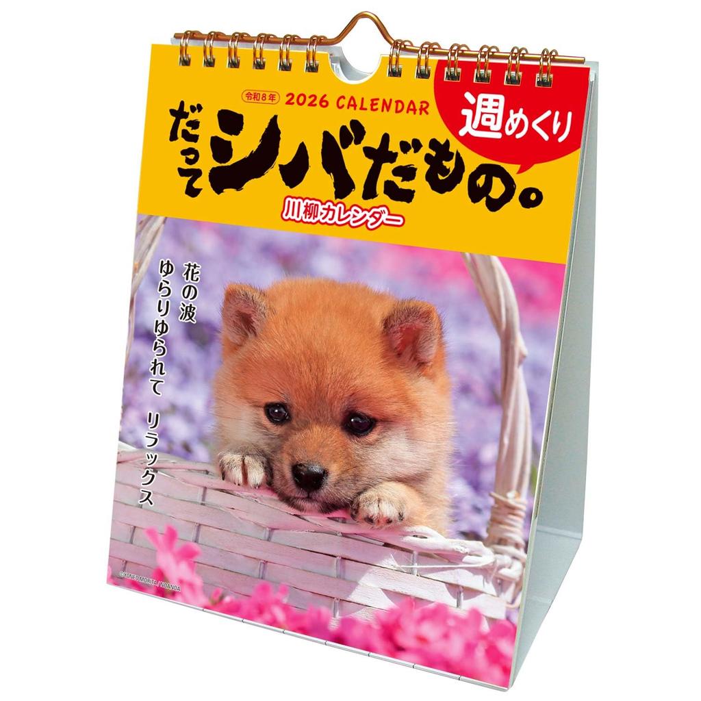 Active Corporation 2026 Desk Calendar Starts January 2026 (Because It's Shiba) 26ACL-566