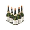 5Pcs Beautiful And Attractive Wedding Party Champagne Bottle Shape DIY Self Watering Bubble Bottles