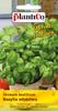 Basil Seeds 1g Vegetables for the Garden
