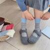 Cotton Mid Tube Socks Soft Breathable Women Stockings Cute Colored Socks  Autumn Winter
