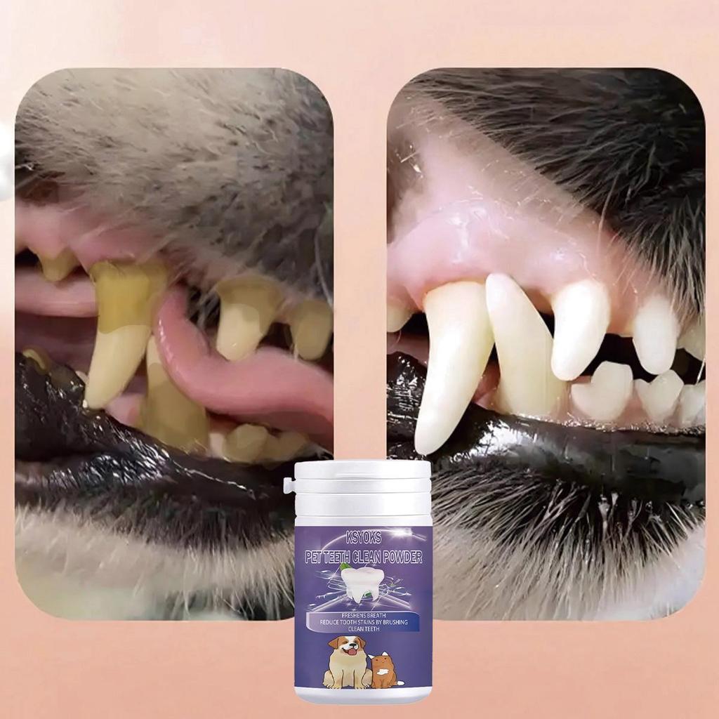 Pet Tooth Powder Efficiently Cleans the Surface of Teeth and Helps Maintain Children's Oral Hygiene