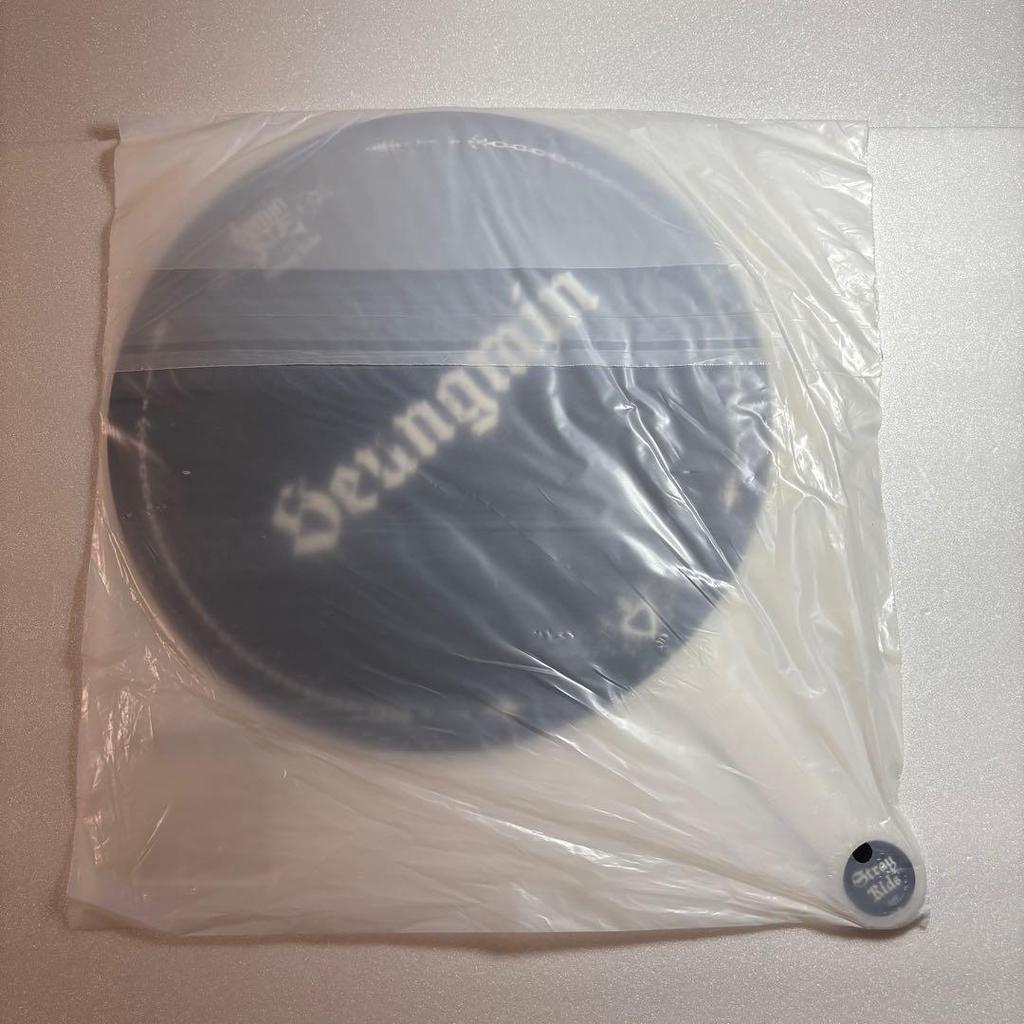 [USED] Stray Kids Seungmin Fan Seoul Concert dominATE