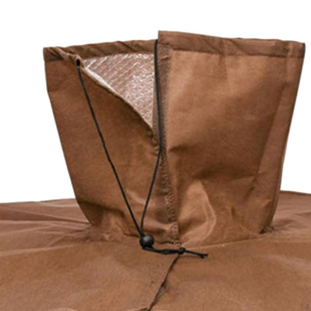 Корень пальмы для зимы, укрытие растений в холодных условиях