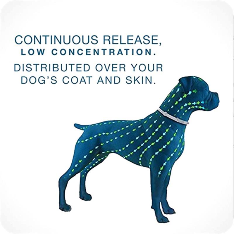 Spring and Summer Cats and Dogs Anti-flea Lice Adjustable Pet Silicone Insect Repellent Collar (aluminum Boxed)