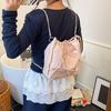 Popular Small Bag Women's 2025 New Summer Casual Fashion Shoulder Messenger Bag Simple Double Shoulder Bucket Bag