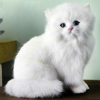 1 шт., игрушка-симулятор персидского кота, милый персидский кот, реалистичная плюшевая игрушка, детский подарок, настольная игрушка, украшение