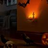 Halloween Ghost Night Light Plug-in Flickering Ghost Campfire Wall Light Wizard Ghost Nightlight for Kids Gift Halloween Party Decoration