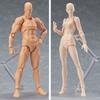 Drawing Sketch Male Female Movable Doll Action Artist Figure Archetype Body