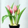 Tulip Bonsai Home Interior Decoration Project Green Plant Flower Pot Simulation Plant Wall False Flower
