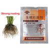 30G Plants Fast Rooting Strong Germination Aid Rapid Seedling Agent Fertilizer