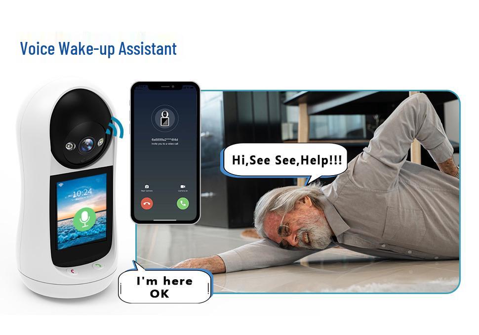 iCSee HD Wireless Two-Way Video Call Camera with Remote Network WiFi Monitoring