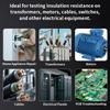 Digital Insulation Resistance Tester, Electronic Megohmmeter, 1000V High-Precision Megaohm Multimeter  ZOYI 1000R