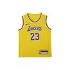 Джерси LeBron James Icon Edition Color Block с принтом букв, с круглым вырезом, сезон 2023/24, Los Angeles Lakers, желтый (Amarillo Yellow), детское, HF7716-728