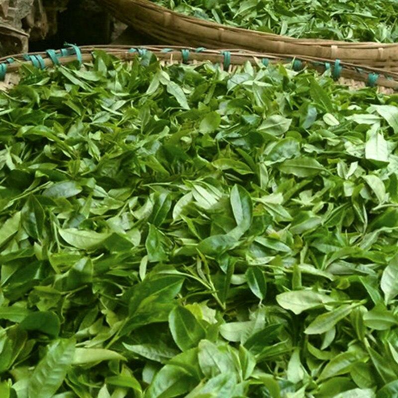 Сырой чай пуэр 2012 года Иу, прессованный чай из древнего дерева Шэн Пуэр, 250 г