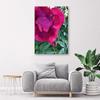 Canvas Print Peony Pink Flower