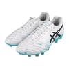 Asics Ds Light X-Fly Pro Круглый носок Удобные Высококлассные Натуральная трава Hg (Резиновые короткие шипы) Футбольные бутсы Мужские Футбольные бутсы Белые Черные 1101A049-100