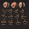 Creative Stainless Steel Twelve Constellation Zircon Cartilage Helix Earring Astrology Piercing Jewelry